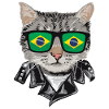 Cat Brazil Flag Sunglasses