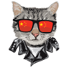 Cat China Flag Sunglasses