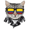 Cat sunglasses with Colombia flag