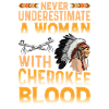 Indianer Ureinwohner Amerika Native American