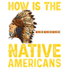 Indianer Ureinwohner Amerika Native American