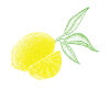Lemon Fruit Retro Lemonade