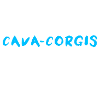 Cava-Corgi