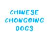 Chinese Chongqing Dog