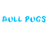 Bull Pug