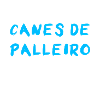 Can de Palleiro