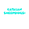 Catalan Sheepdogs