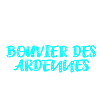 Bouvier Des Ardennes