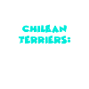 Chilean Terriers