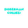 Doberman Collies