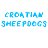 Croatian Sheepdog