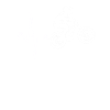 Mountain bike heartbeat