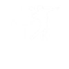 Football Heartbeat