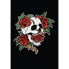 Skull and Roses