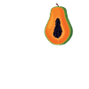 Papaya