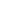 Evolution Geiger