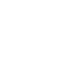 Evolution Gitarrist