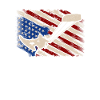 USA Flag Kitesurfing Kiteboarding Kitesurf