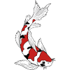 Koi Carp