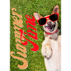 Summer Time Funny Dog Design