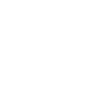 THE LAWN RANGER