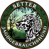 Jagdgebrauchshund Setter