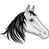 Horse head