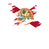 Florida proud gift