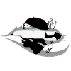 Corsica Flag Corsica Flag Corsica Corsica