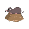 Maulwurf Mole Maulwürfe