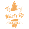 What ́s Up Beaches - Surfers