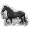 Pferd