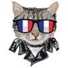 Cat Flag Sunglasses