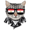 Cat Egypt Flag Sunglasses