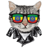 Cats -Ethiopia -Flag Sunglasses