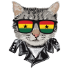 Cat Gala Flag Sunglasses