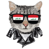 Cats -Iraq -Flag Sunglasses