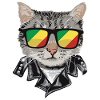 Cat Sunglasses with Congo Flag