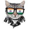 Cat India Flag Sunglasses