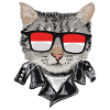 Cat Indonesia Flag Sunglasses