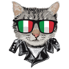 Cat Italy Flag Sunglasses