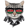 Cat Kenya Flag Sunglasses