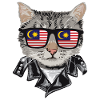 Cat sunglasses with Malaysia flag