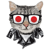 Cat Sunglasses with Japanese Flag
