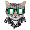Cats Nigeria Flag Sunglasses