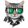 Cat sunglasses with Pakistan flag