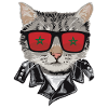 Cats Morocco Flag Sunglasses