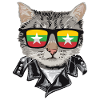Cat sunglasses with Myanmar flag