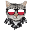 Cat Pole Flag Sunglasses