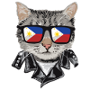 Cat Philippines Flag Sunglasses